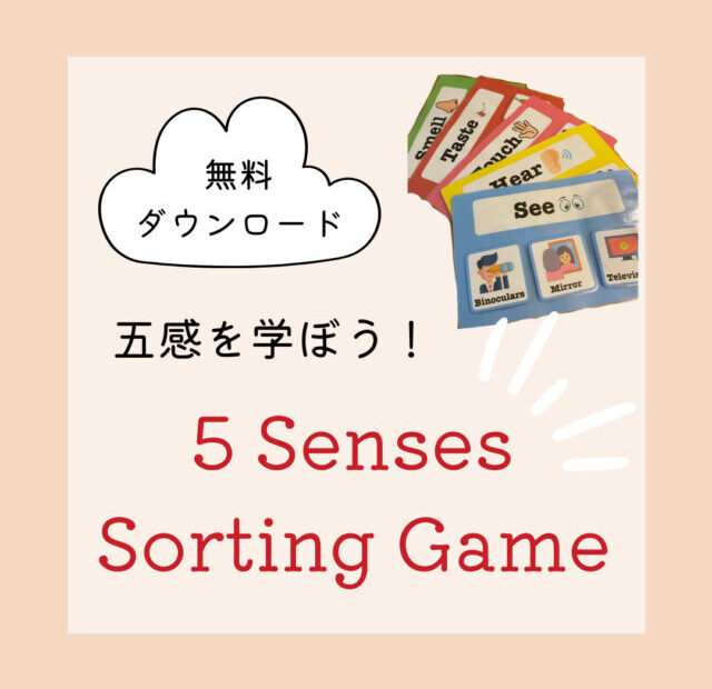 5Senses sorting game